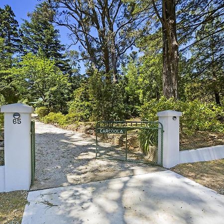 Villa Carcoola à Blackheath Extérieur photo