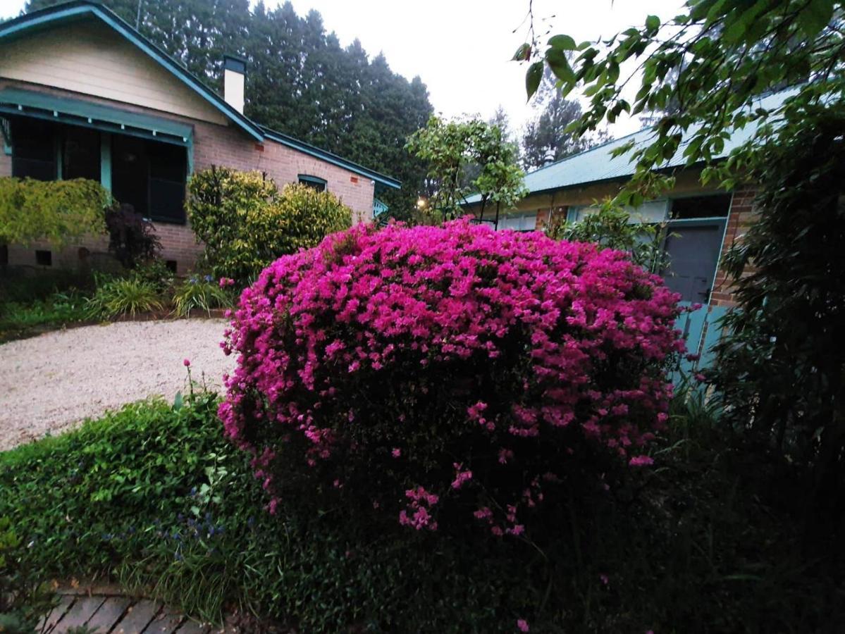 Villa Carcoola à Blackheath Extérieur photo