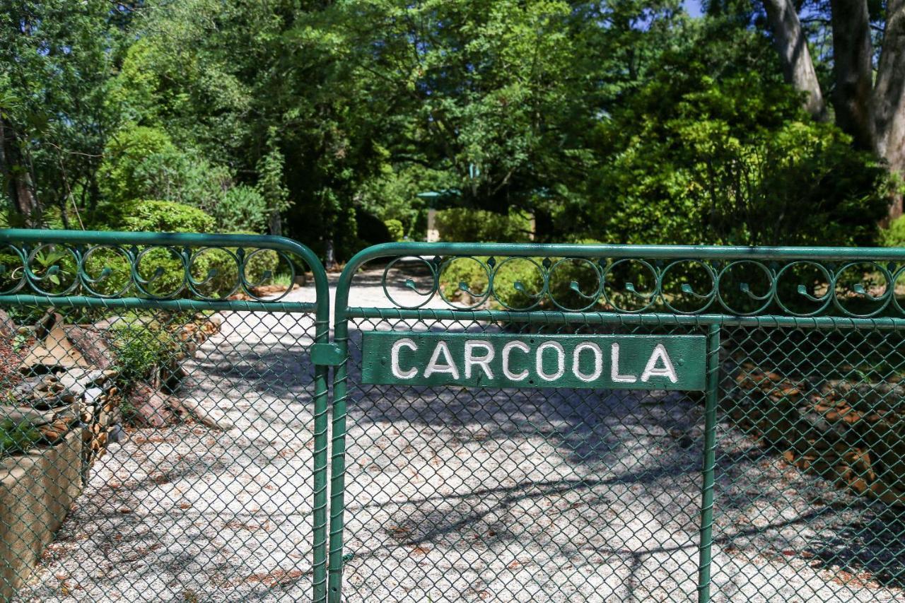 Villa Carcoola à Blackheath Extérieur photo